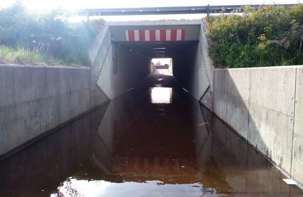 Oversvøm viadukt 2 avis